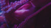 Detail image of Kraken tentacles